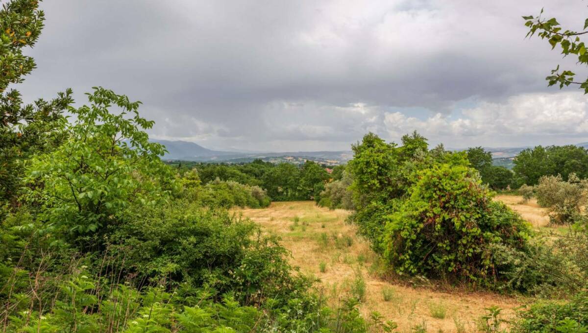 Villa unifamiliare in vendita Vocabolo Torricella, Massa Martana