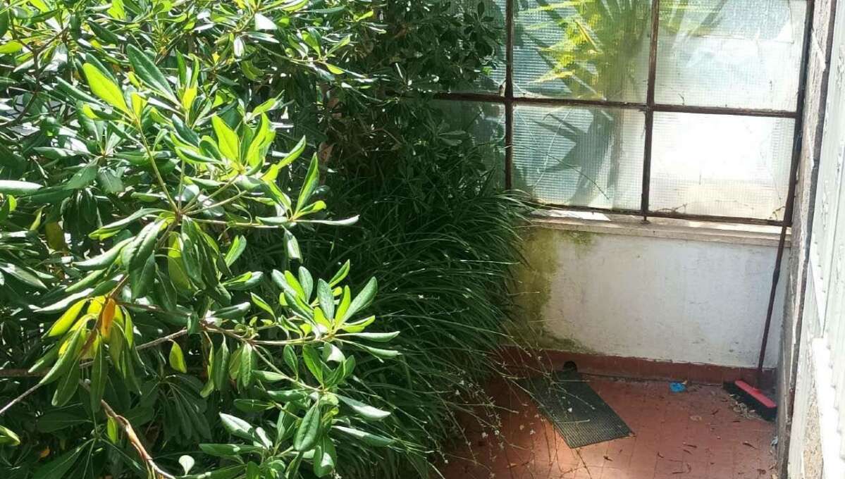 Appartamento in affitto via Fedele Lampertico, Roma