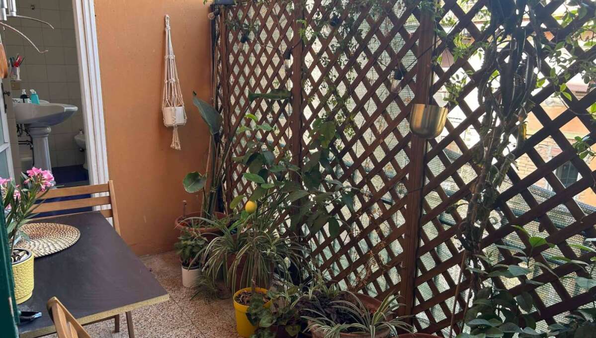 Appartamento in affitto via del Boschetto, Roma