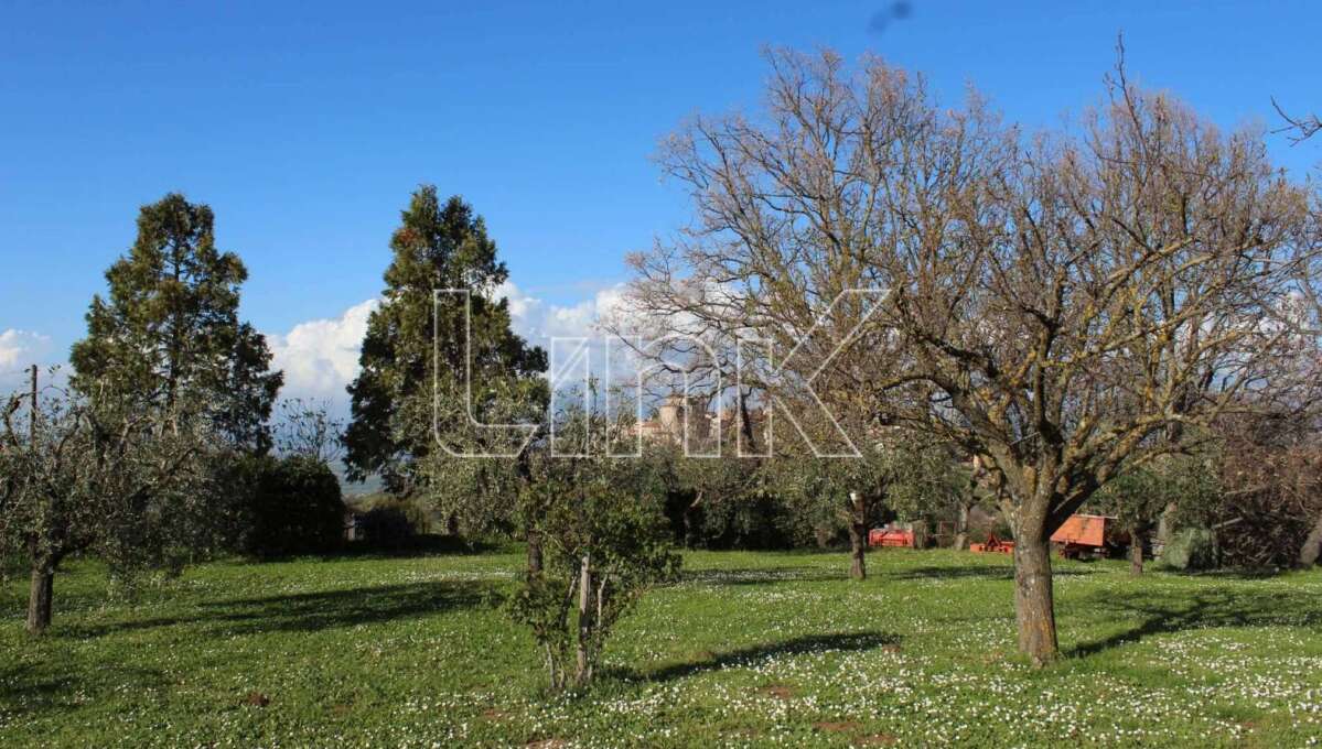 Villa unifamiliare in vendita via Tuscolo, Monte Porzio Catone