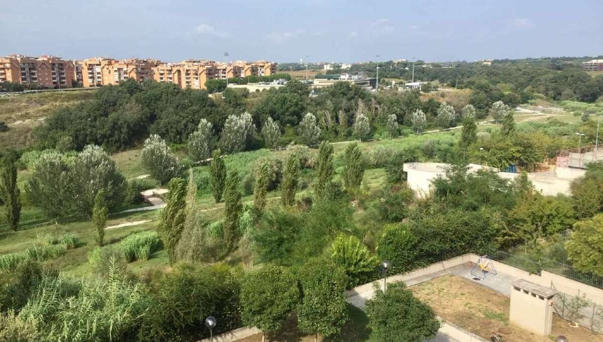 Appartamento in vendita via del Podere Fiume, Roma