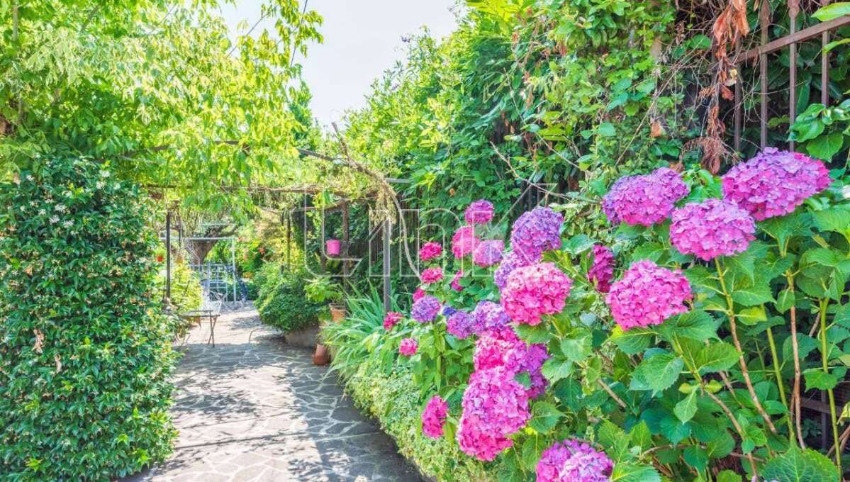 Casa / Villetta a schiera in vendita in via del Campo Sportivo, San Cesareo
