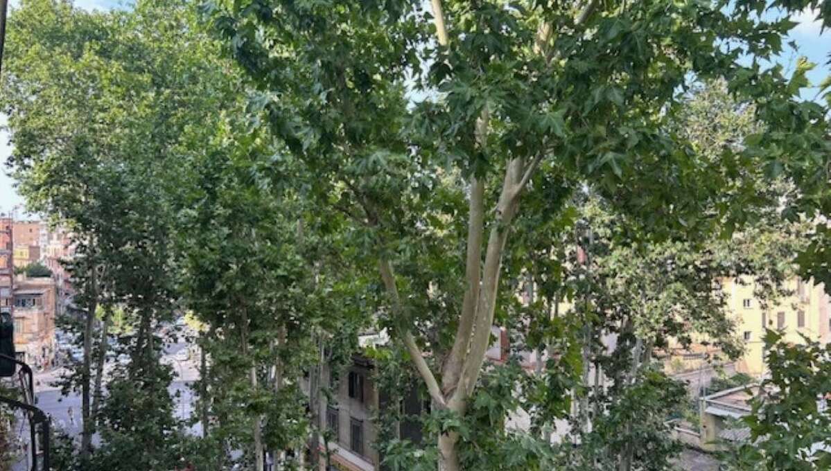 Appartamento in vendita via Galeazzo Alessi, Roma