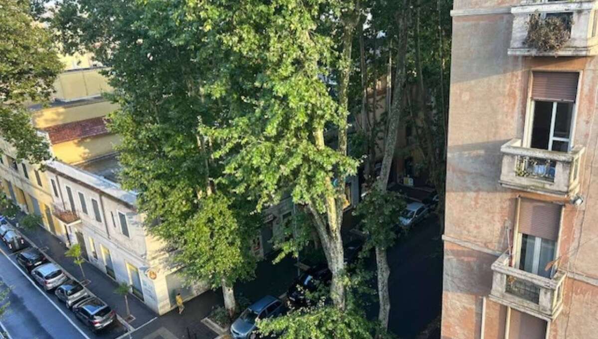 Appartamento in vendita via Galeazzo Alessi, Roma