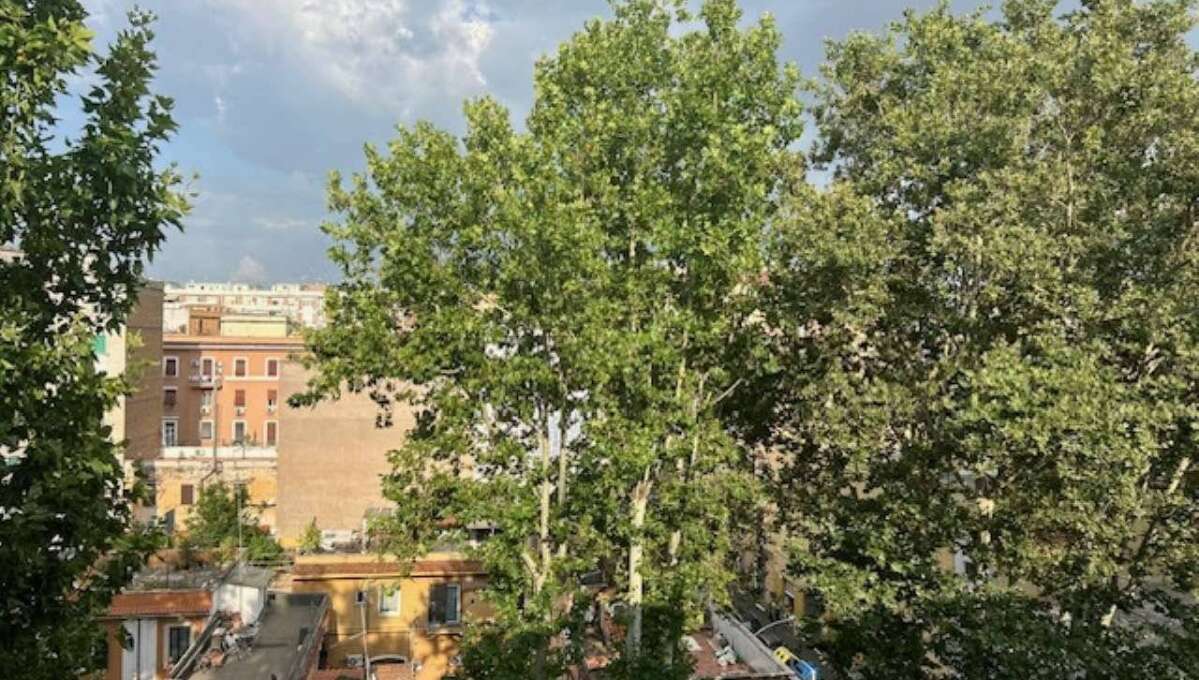 Appartamento in vendita via Galeazzo Alessi, Roma