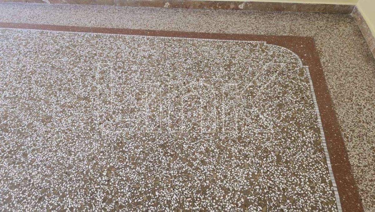 Apparamento in affitto via Augusto Riboty, Roma