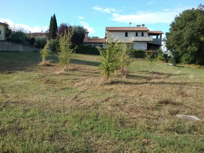 Terreno edificabile via Flaminia Vecchia, Giano dell’Umbria, Perugia