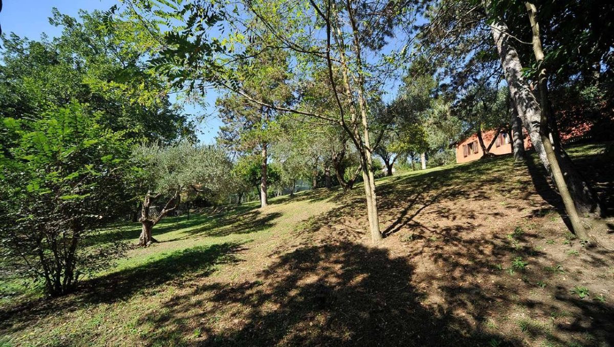 Villa unifamiliare in vendita via Poggio degli Ulivi, Sacrofano