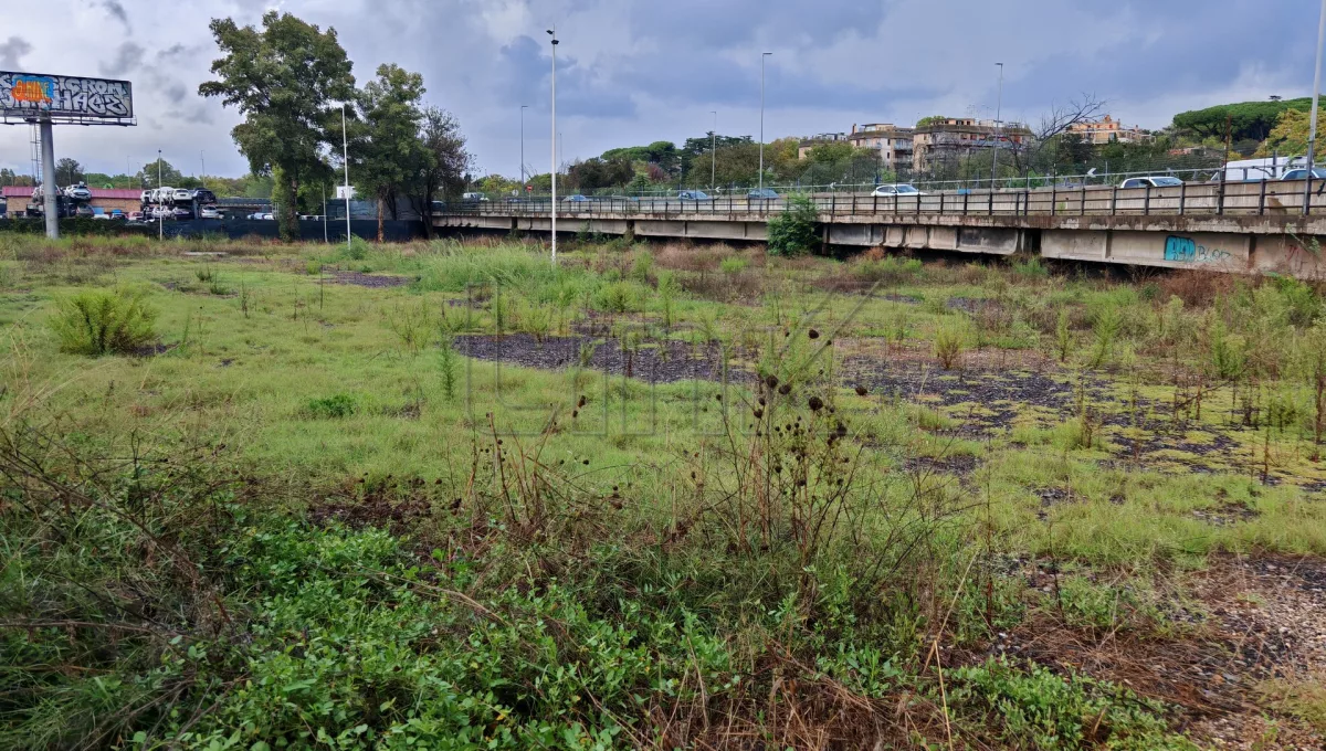 Terreno in affitto via del Mare Km7, Roma