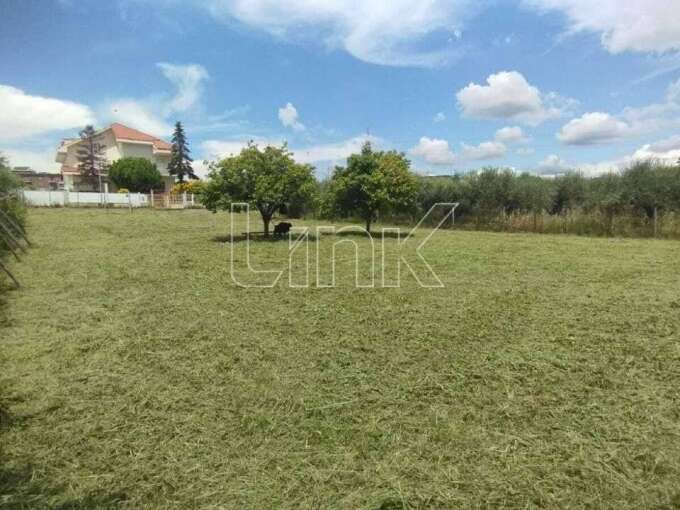 Terreno edificabile in vendita via Oratino, Roma