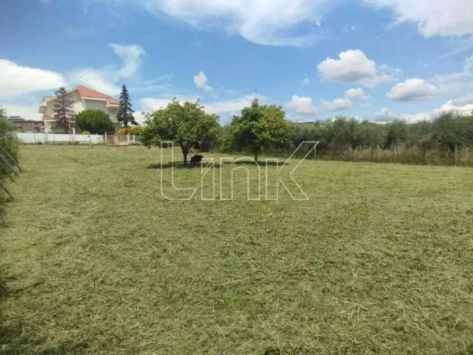 Terreno edificabile in vendita via Oratino, Roma